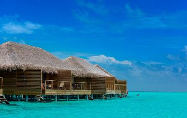 COCOON MALDIVES